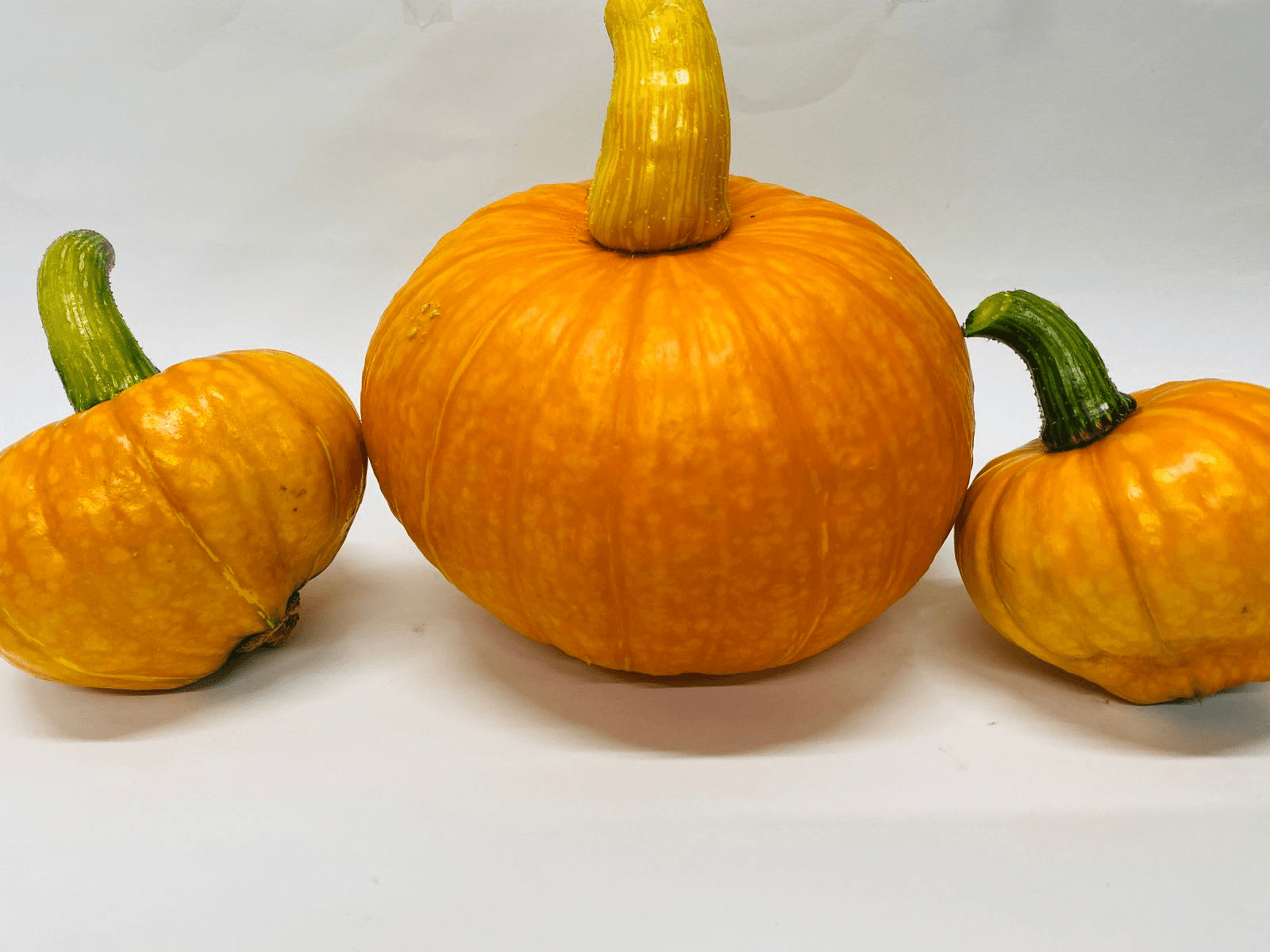 Calabaza grande