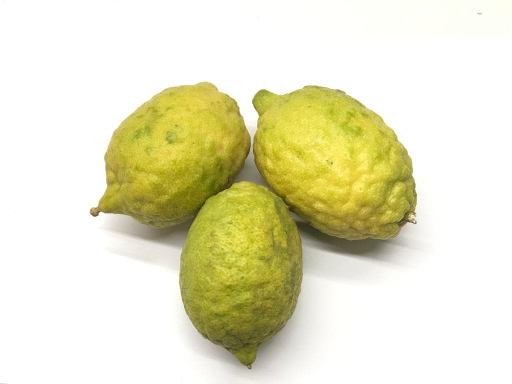 Limon Meyer