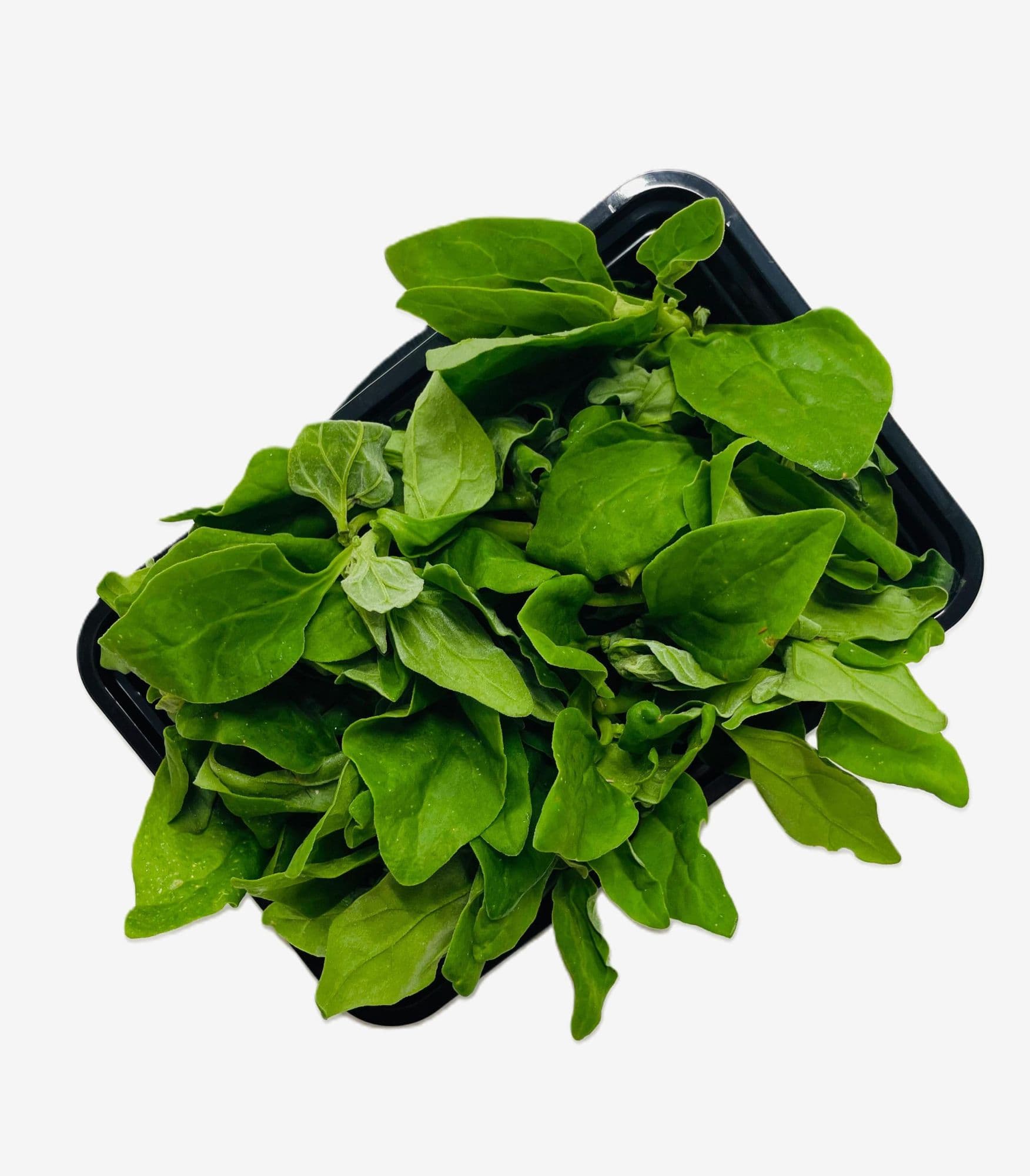 Espinaca nueva Zelanda (pack 0.40 LB)