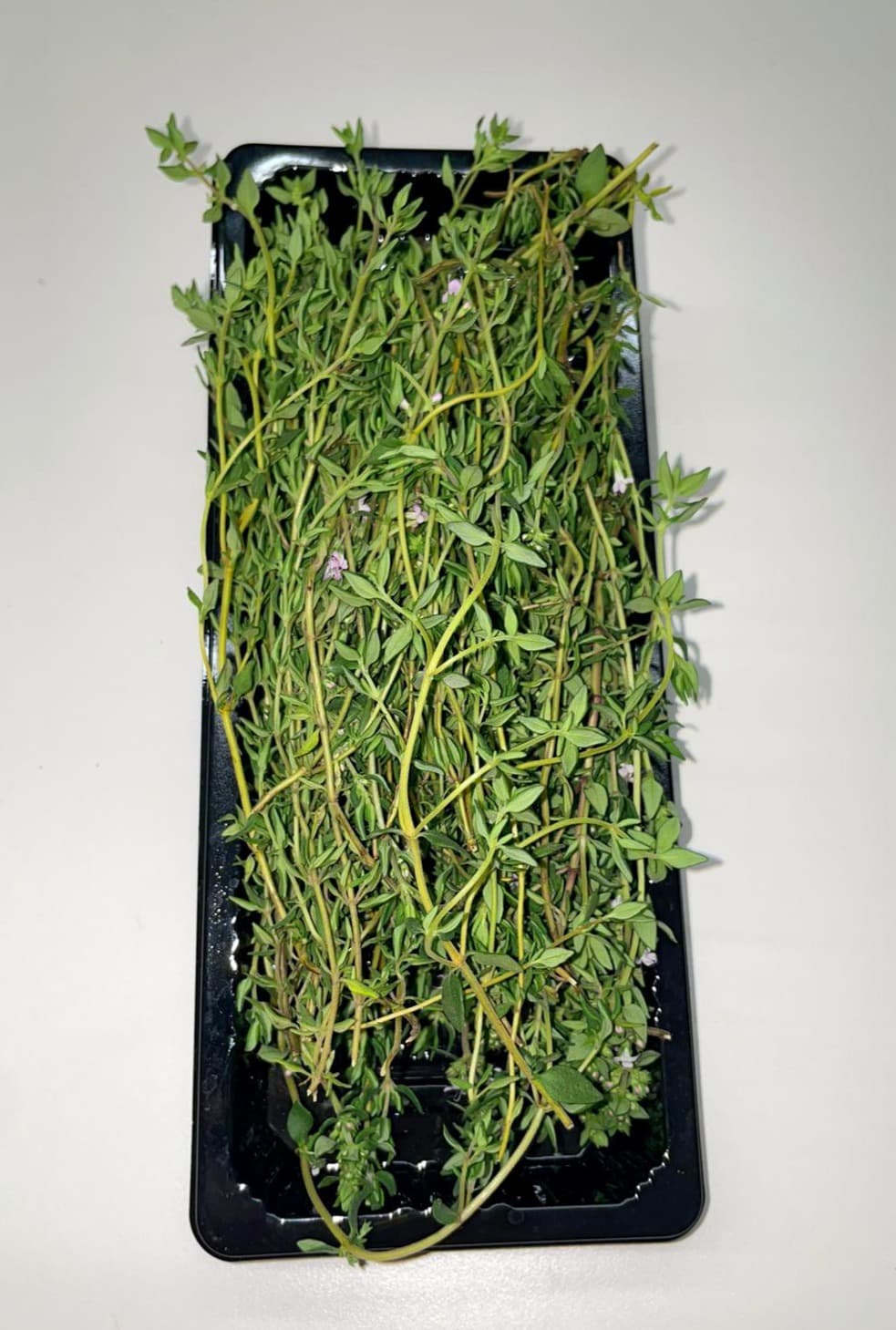Tomillo (PACK 0.45 g)