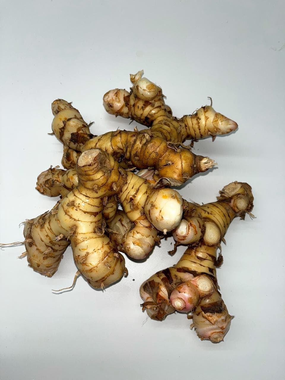 Galangal (Libra)