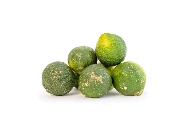 Limon mandarina (Unidad)
