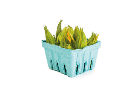 Flor de zucchini (Pack)