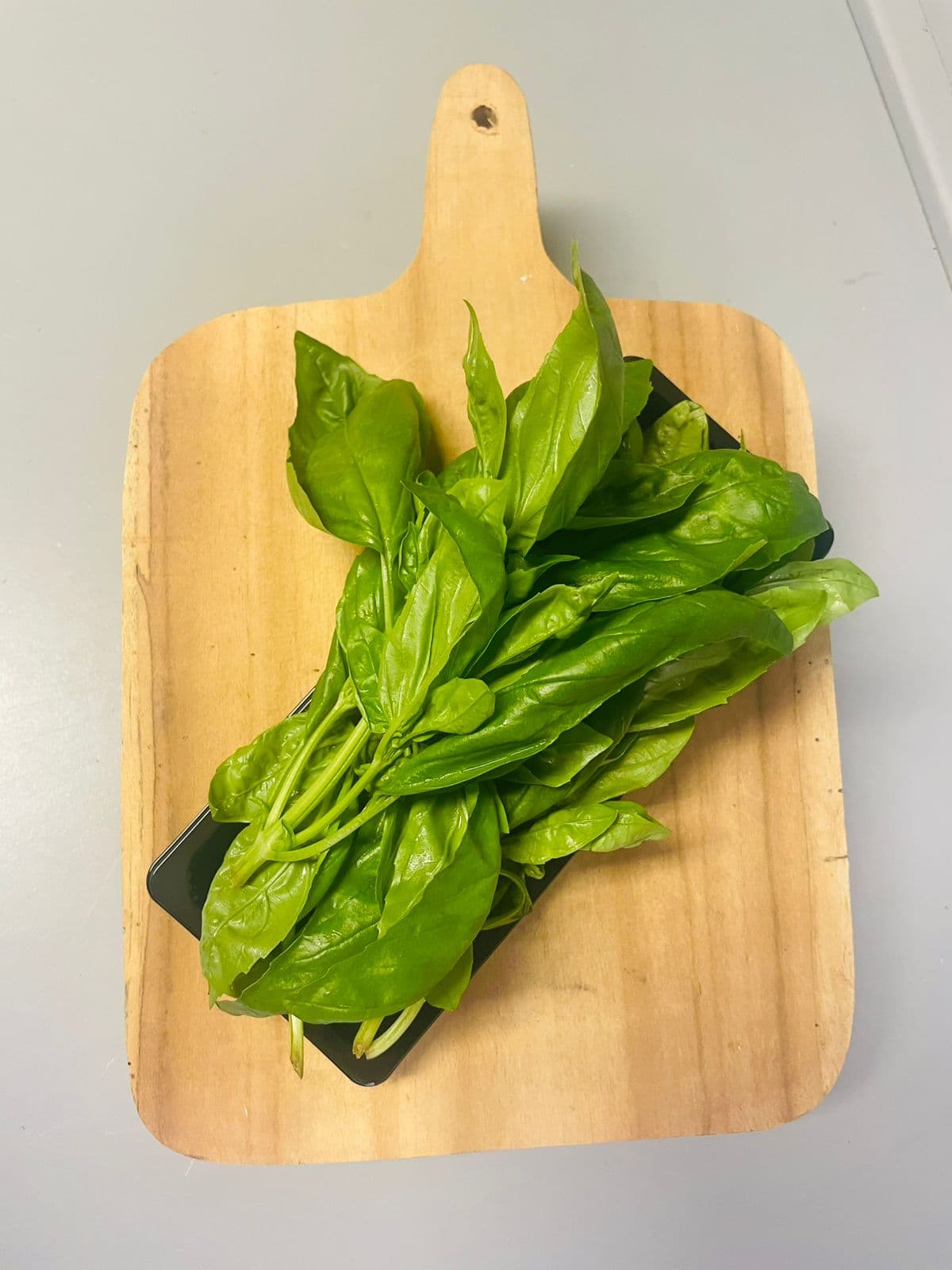 Albahaca (pack 0.45g)