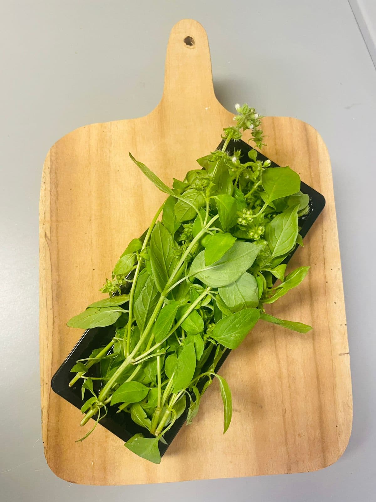 Albahaca Lim贸n (pack 0.45g)