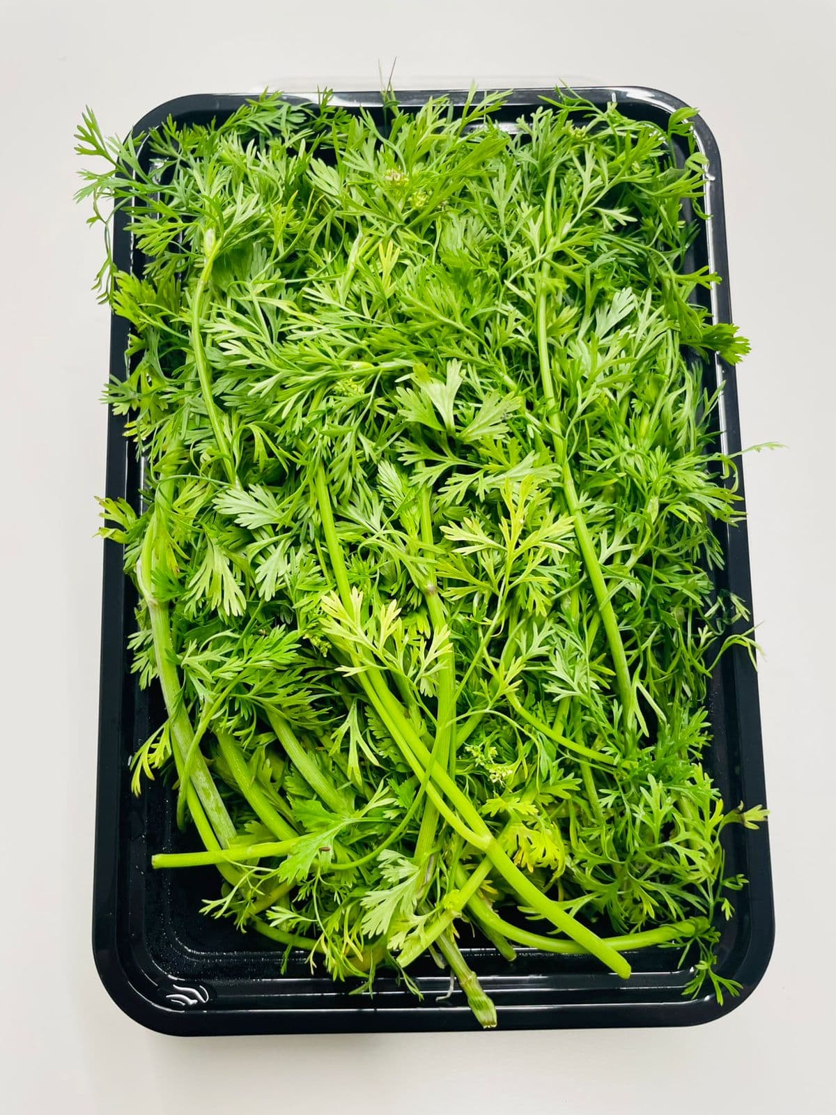 Cilantro Especial (Pack 0.30 )